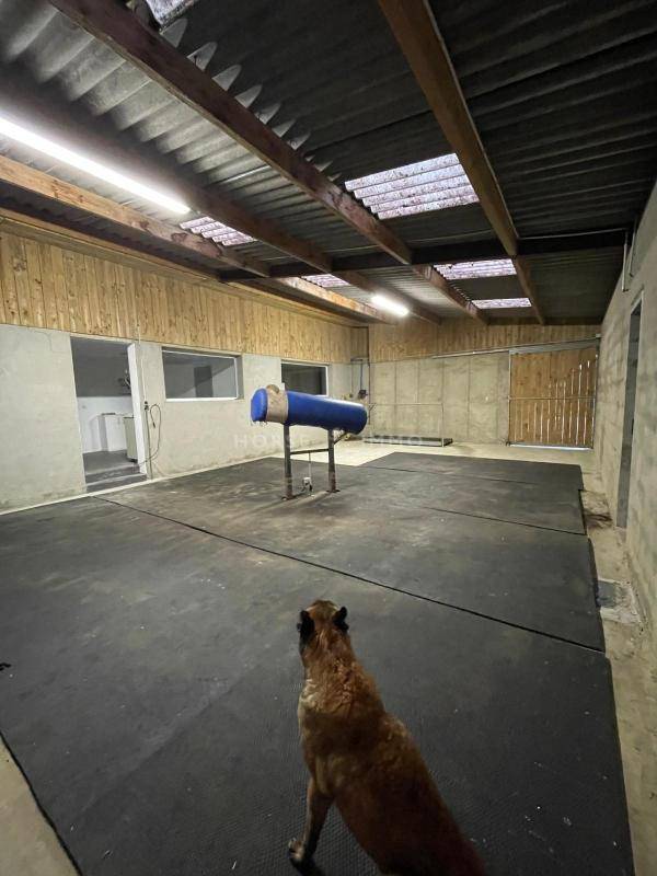 Propiedad ecuestre En venta Morbihan