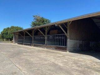Propiedad ecuestre En venta Morbihan
