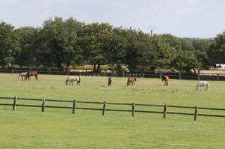 Propiedad ecuestre En venta Morbihan