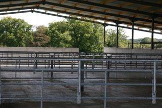 Propiedad ecuestre En venta Morbihan