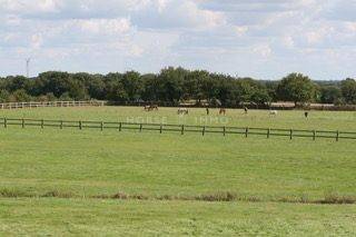 Propiedad ecuestre En venta Morbihan