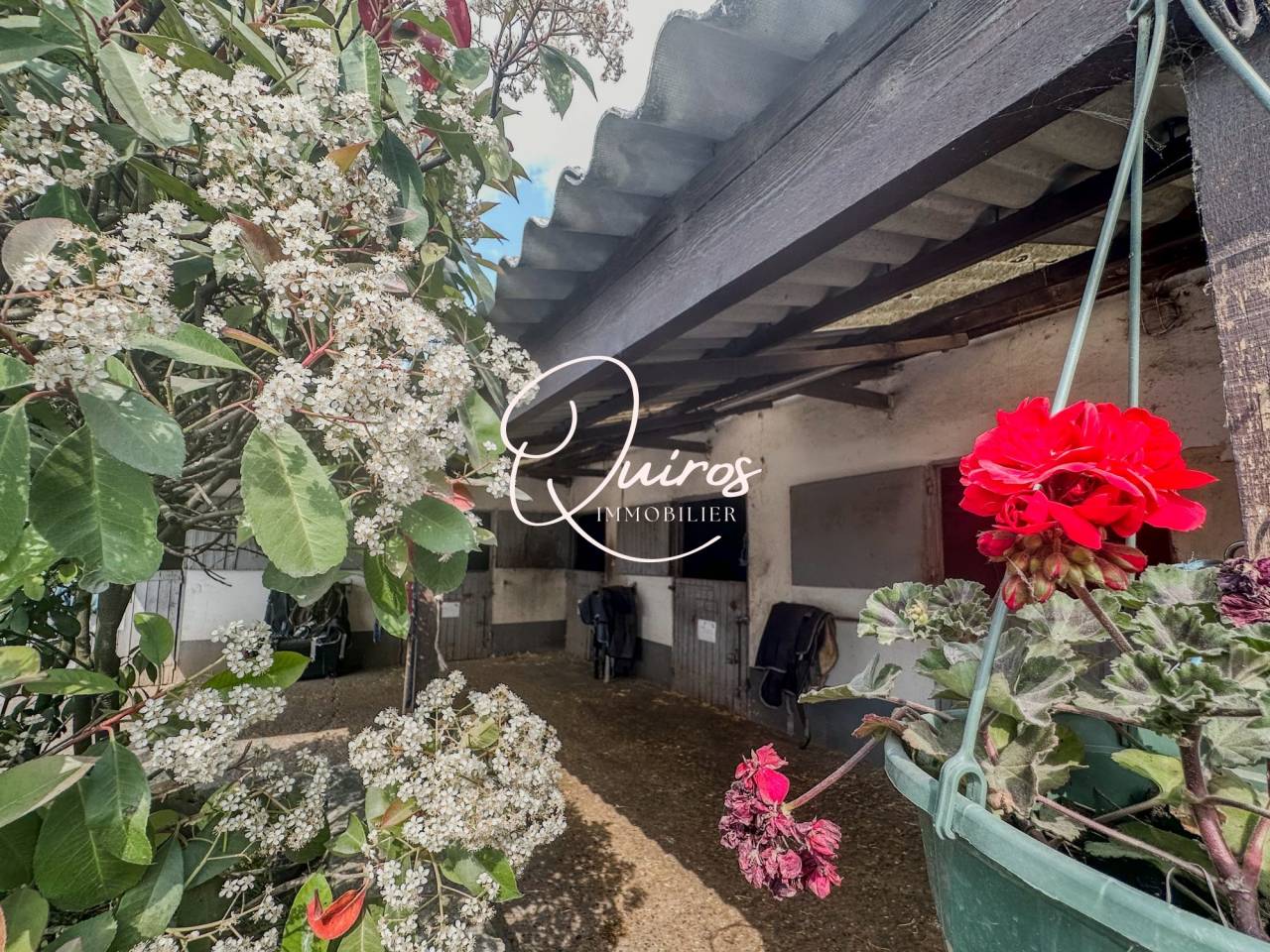Propiedad ecuestre En venta Yvelines