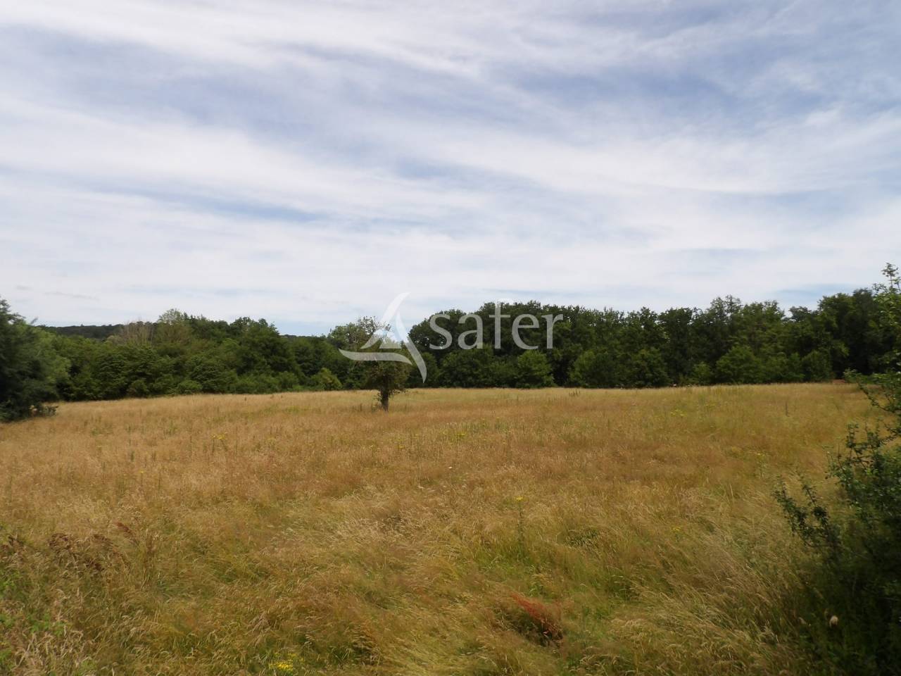 Explotación agrícola En venta Essonne