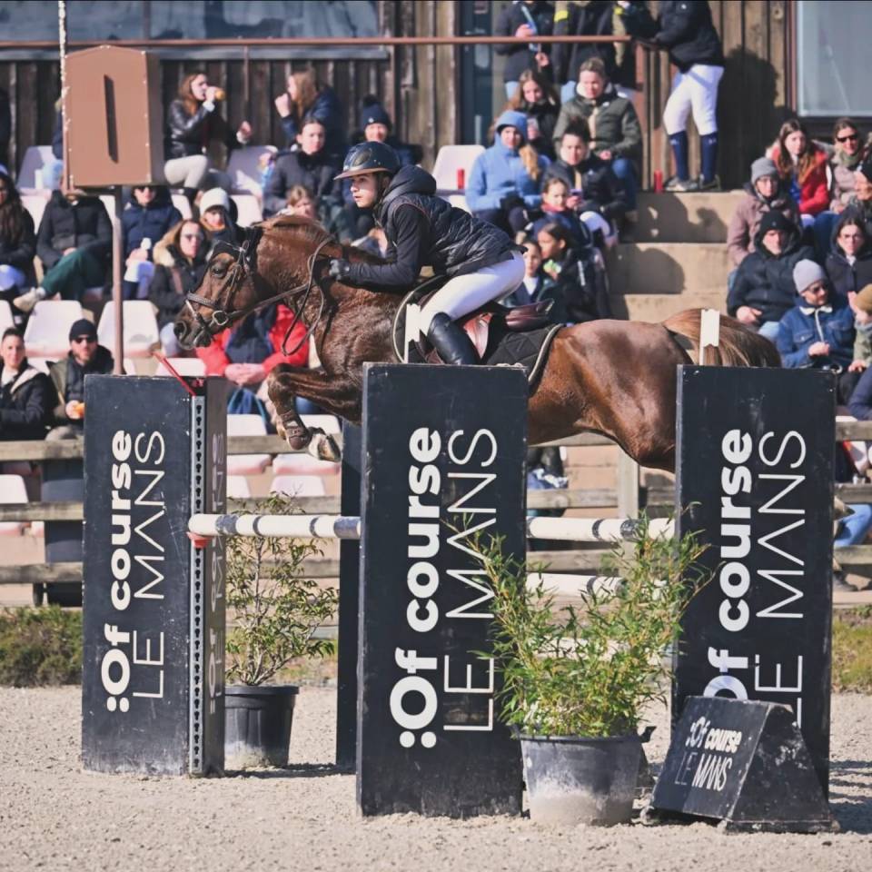 Semental PFS Poni Françés de Silla En venta 2013 Pelo de vaca por ulk d'été