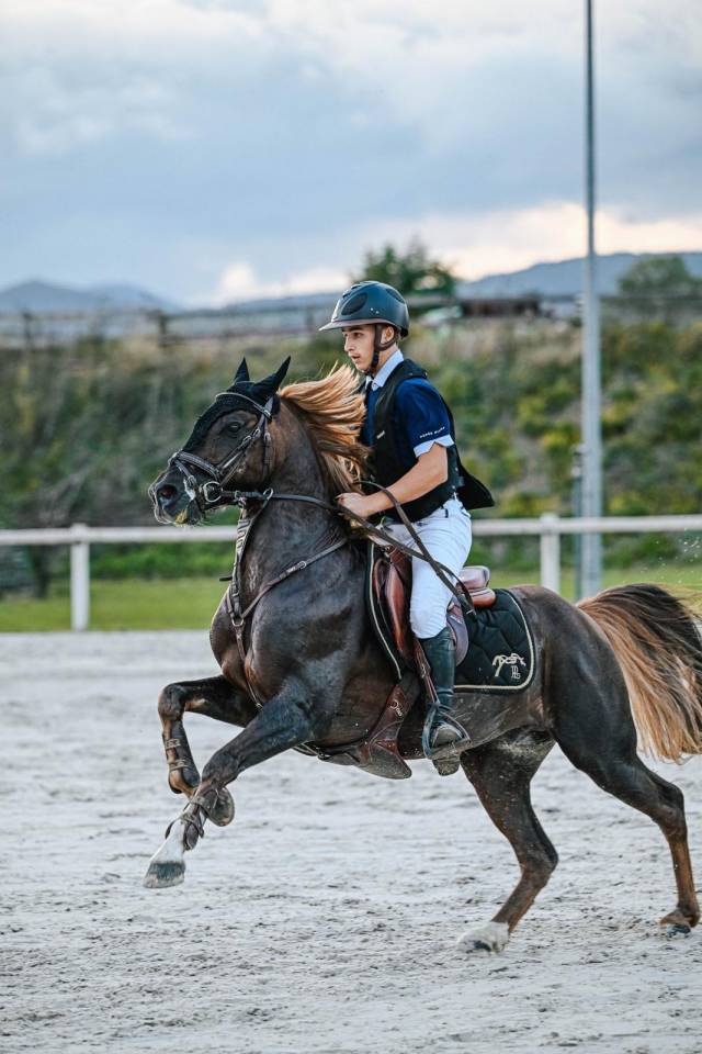 Semental PFS Poni Françés de Silla En venta 2013 Pelo de vaca por ulk d'été