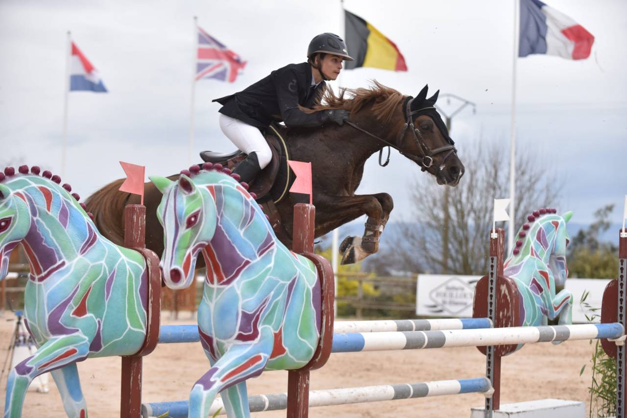 Semental PFS Poni Françés de Silla En venta 2013 Pelo de vaca por ulk d'été