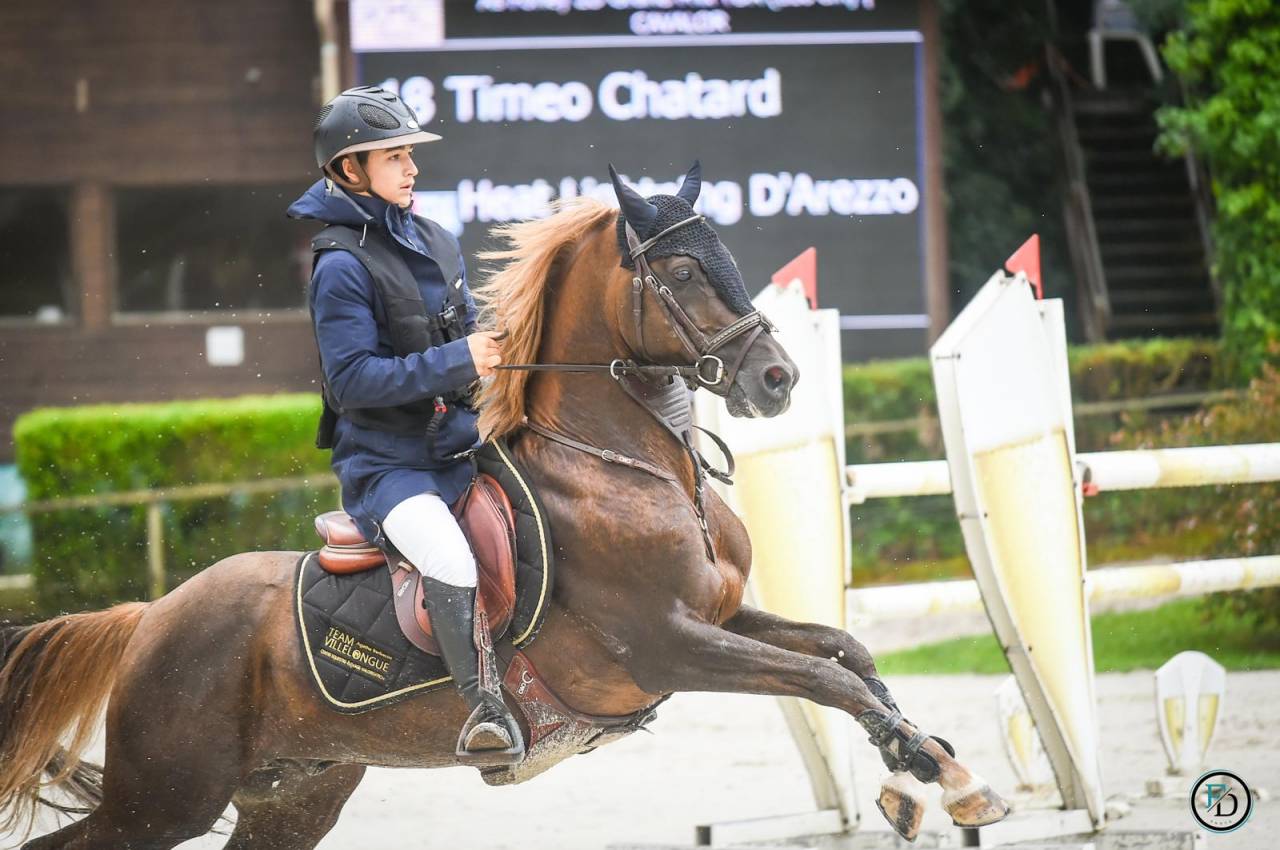 Semental PFS Poni Françés de Silla En venta 2013 Pelo de vaca por ulk d'été