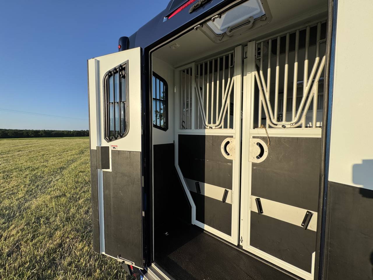 Furgoneta para caballos Theault Proteo Switch 5 places 2020 De segunda mano