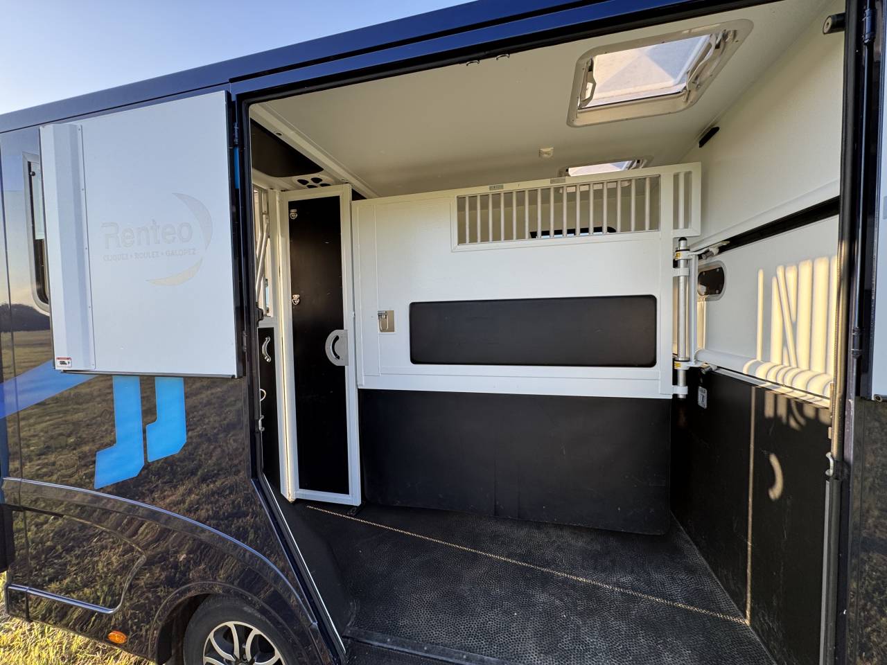 Furgoneta para caballos Theault Proteo Switch 5 places 2020 De segunda mano