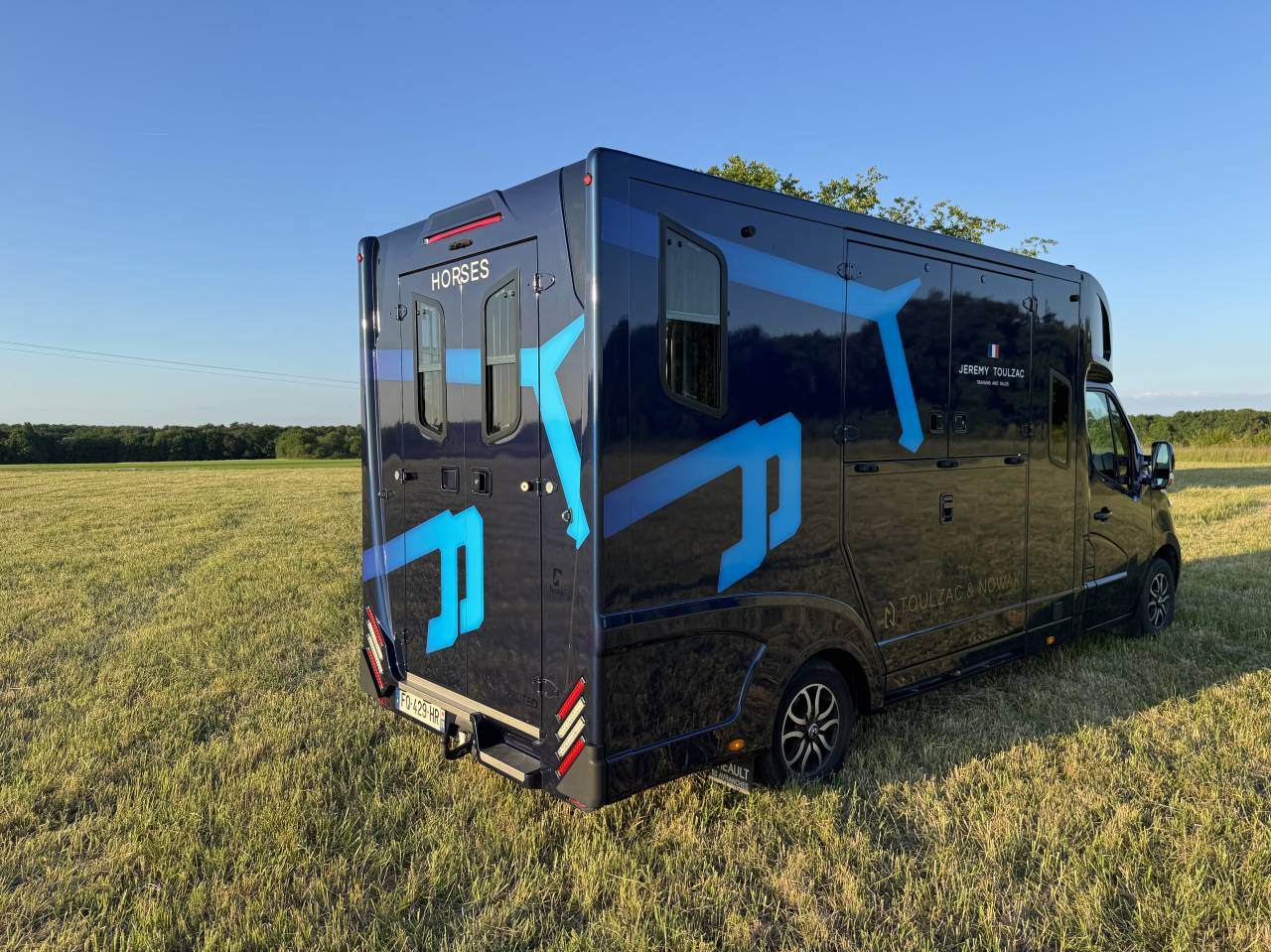 Furgoneta para caballos Theault Proteo Switch 5 places 2020 De segunda mano