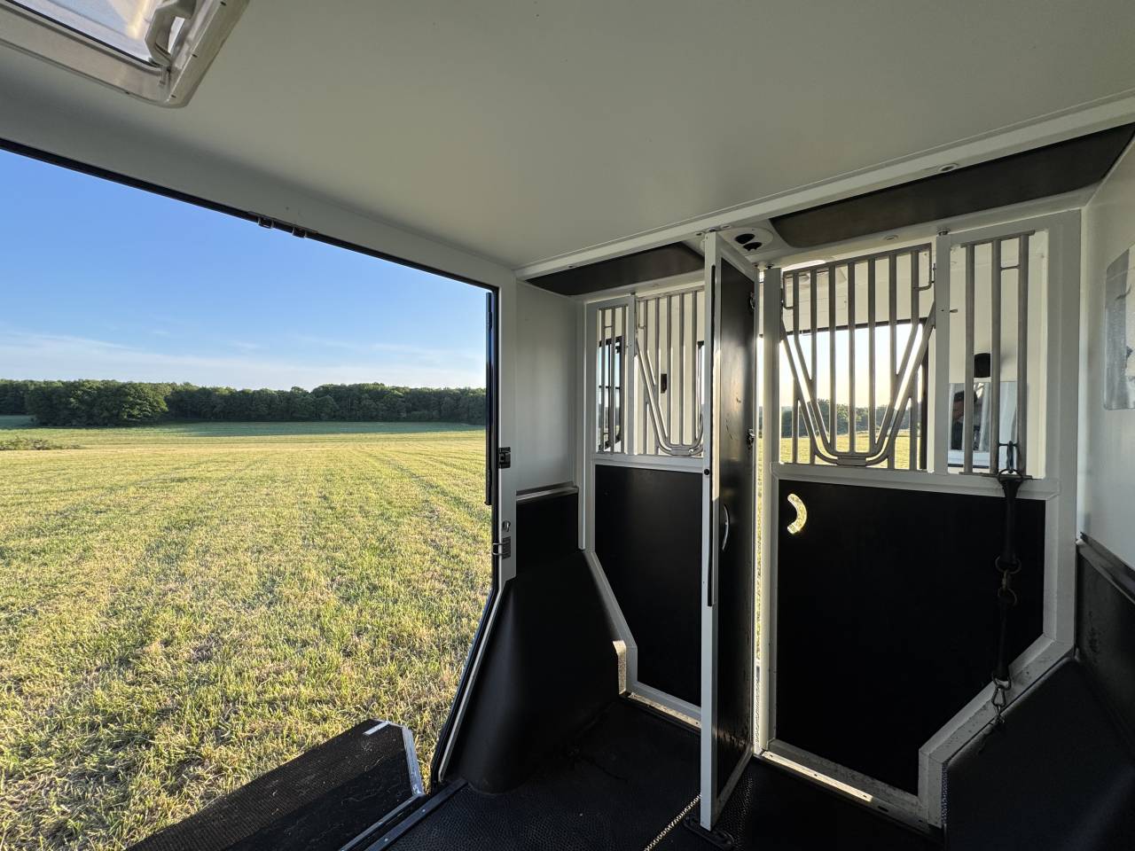 Furgoneta para caballos Theault Proteo Switch 5 places 2020 De segunda mano