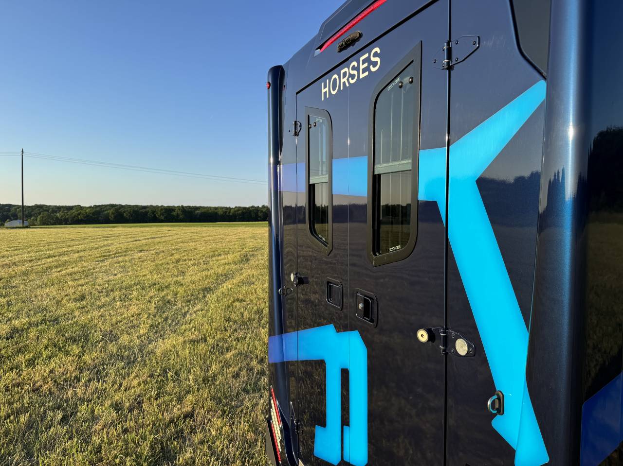 Furgoneta para caballos Theault Proteo Switch 5 places 2020 De segunda mano