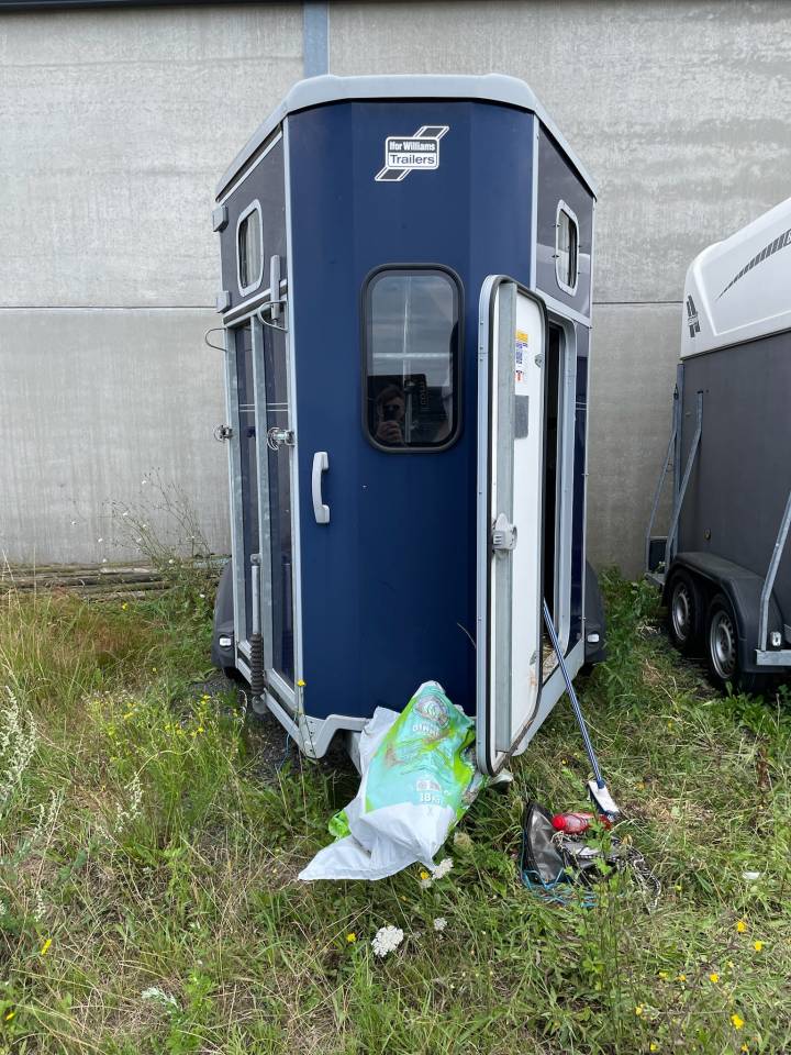 Van caballos Ifor Williams HB 506 2 Caballos 2017 De segunda mano