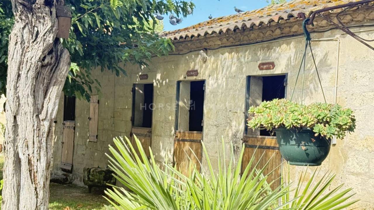 Propiedad ecuestre En venta Hérault