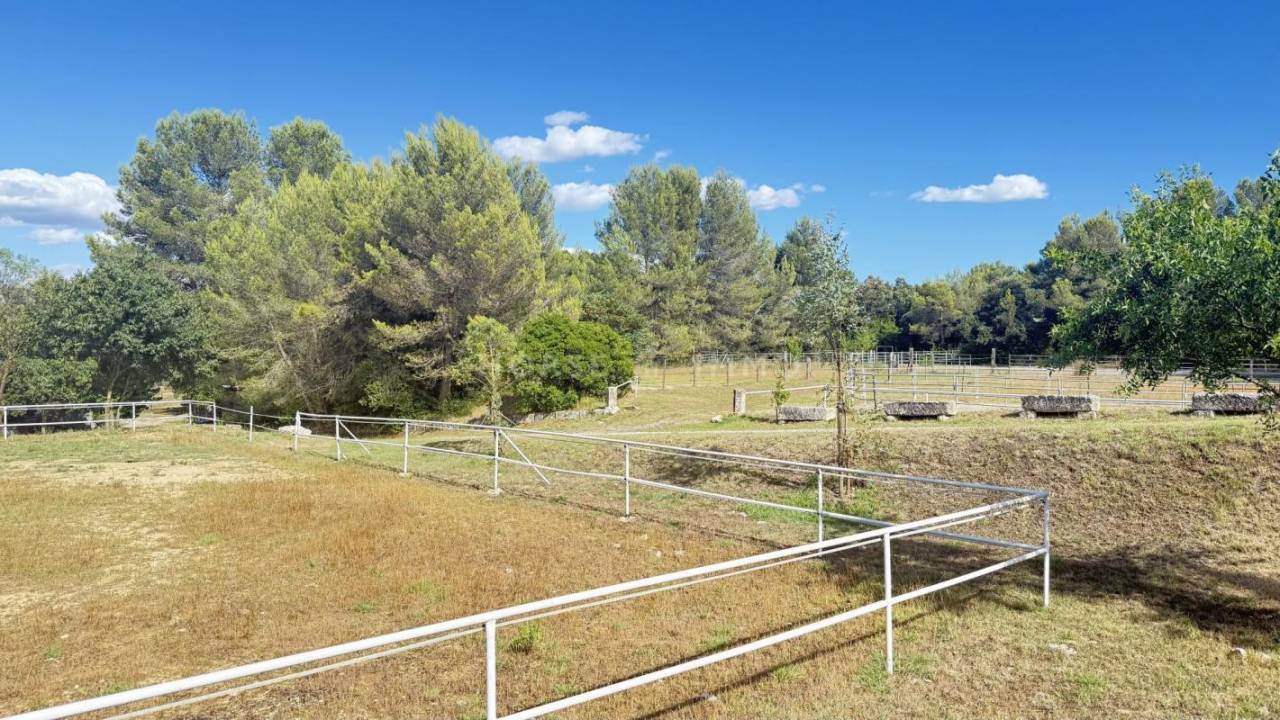 Propiedad ecuestre En venta Hérault