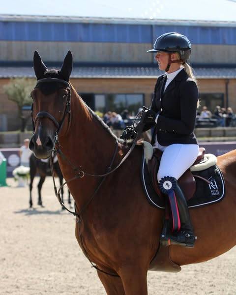 Caballo castrado Silla Francés En venta 2014 Bayo por BALOUBET DU ROUET