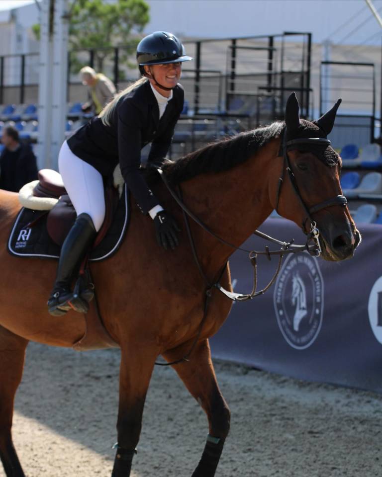 Caballo castrado Silla Francés En venta 2014 Bayo por BALOUBET DU ROUET