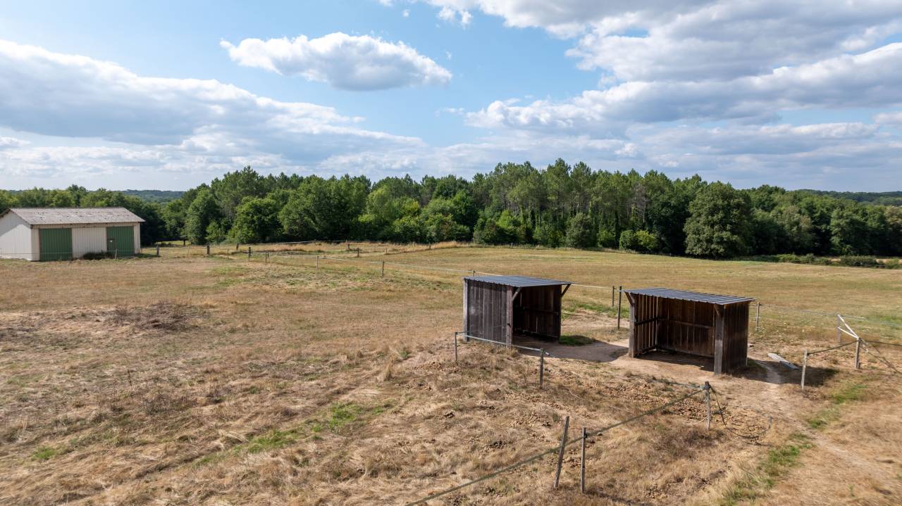 Propiedad ecuestre En venta Gironda