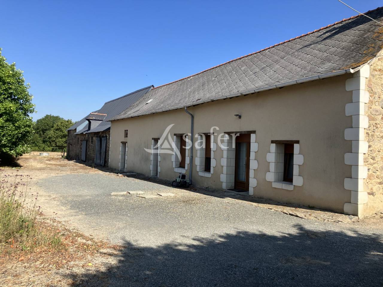 Explotación agrícola En venta Maine y Loira