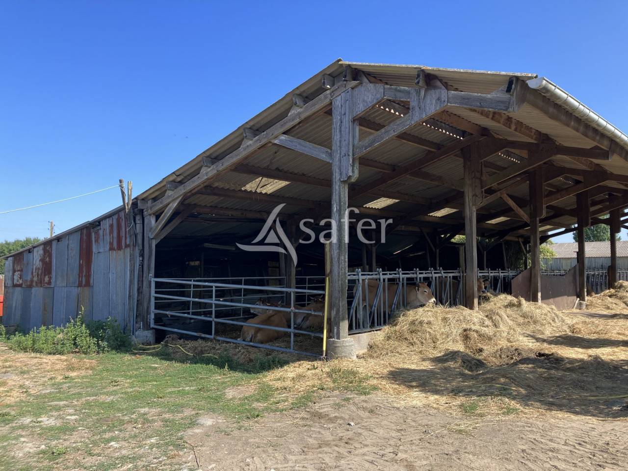 Explotación agrícola En venta Maine y Loira