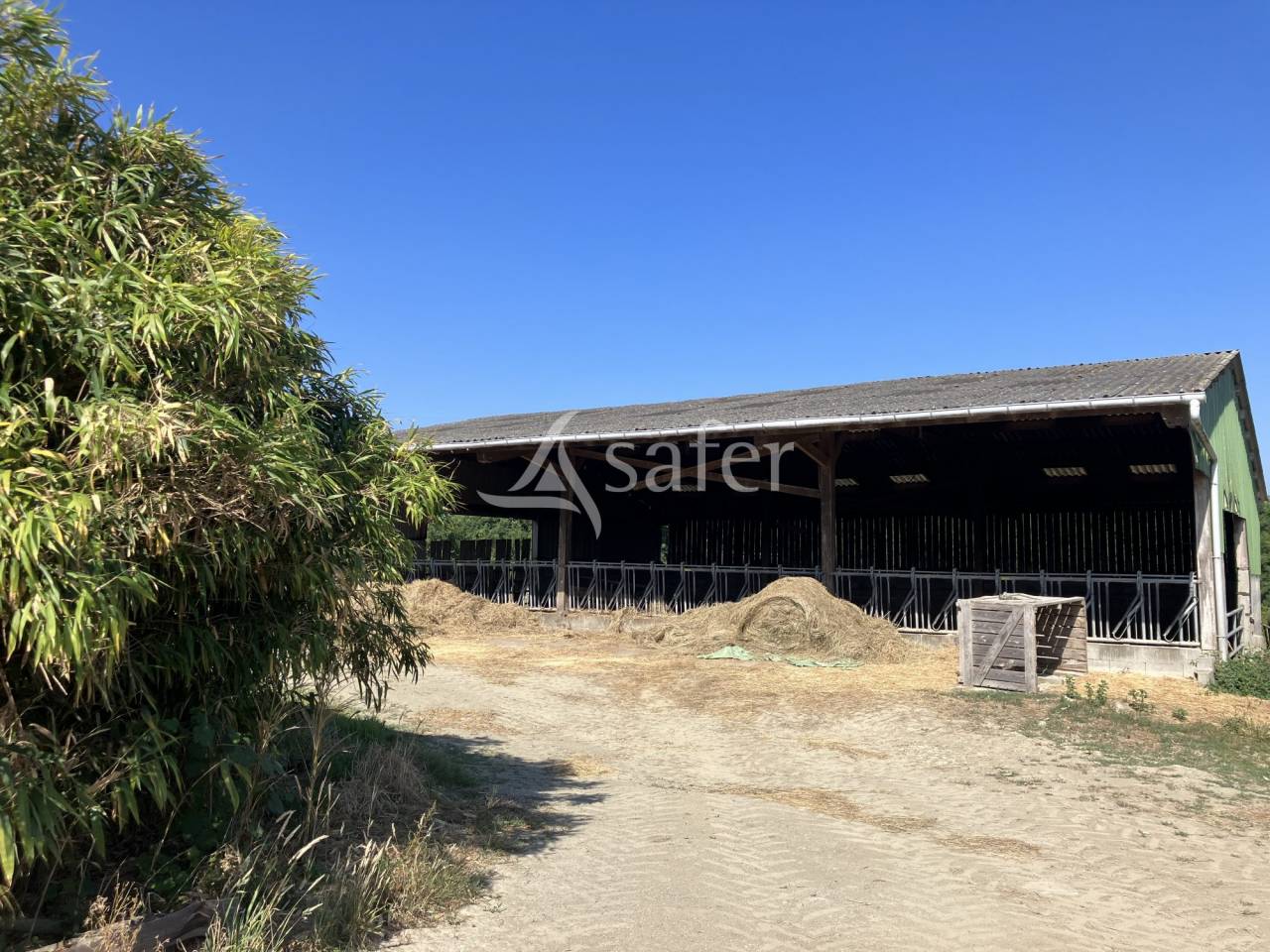 Explotación agrícola En venta Maine y Loira