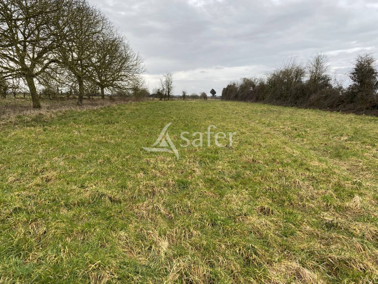 Explotación forestal En venta Orne