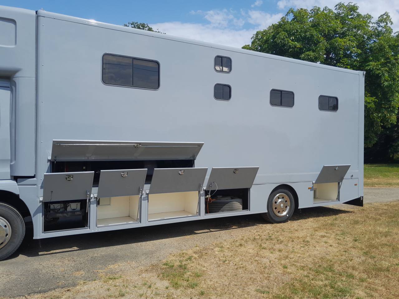 Camión para caballos Man  2017 De segunda mano