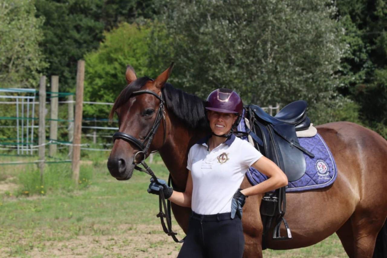 Yegua Silla Francés En venta 2020 Bayo por dexter du neuhof (oes)