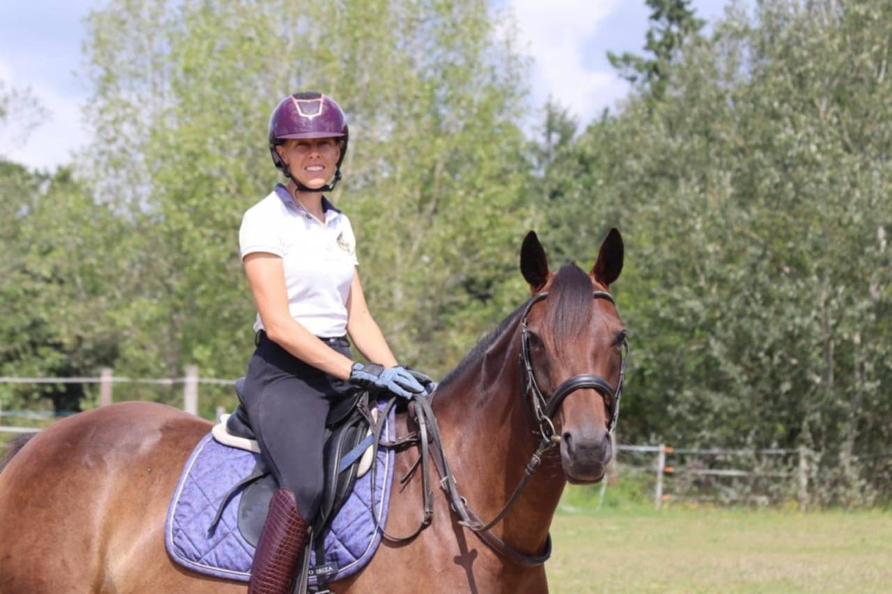 Yegua Silla Francés En venta 2020 Bayo por dexter du neuhof (oes)