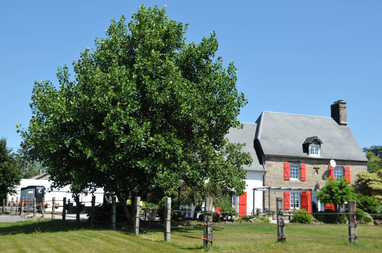 Bonita residencia ecuestre En venta Calvados