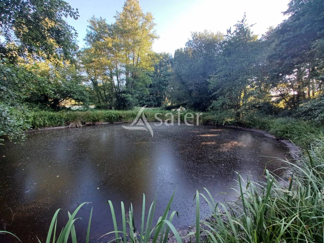 Propiedad ecuestre En venta Landas