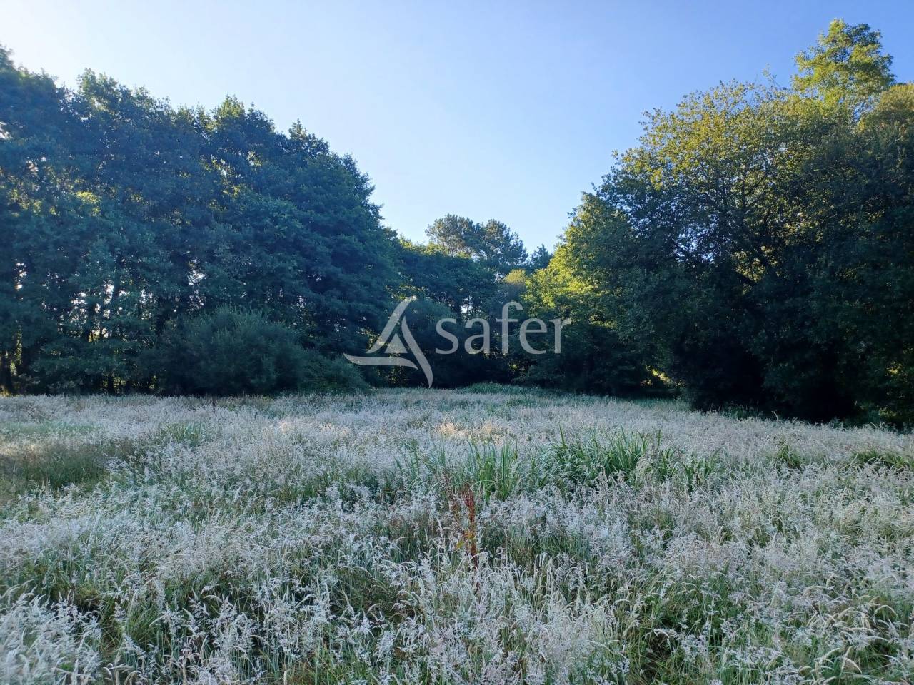 Propiedad ecuestre En venta Landas