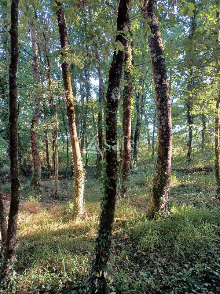 Propiedad ecuestre En venta Landas