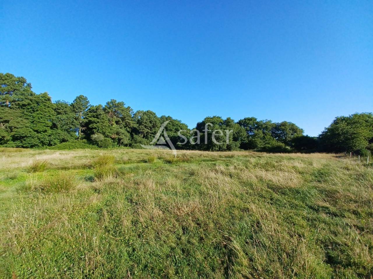 Propiedad ecuestre En venta Landas