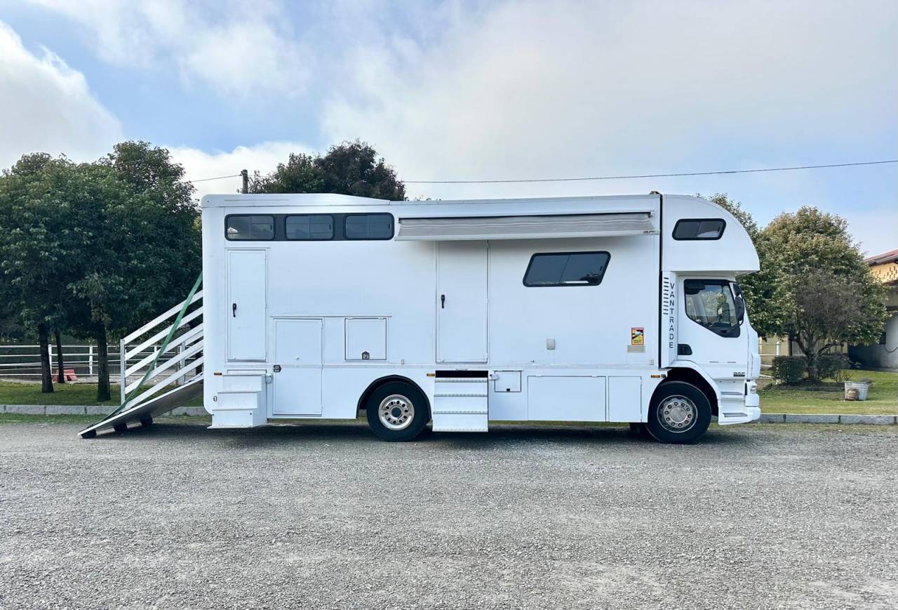 Camión para caballos Daf pop out  2003 De segunda mano