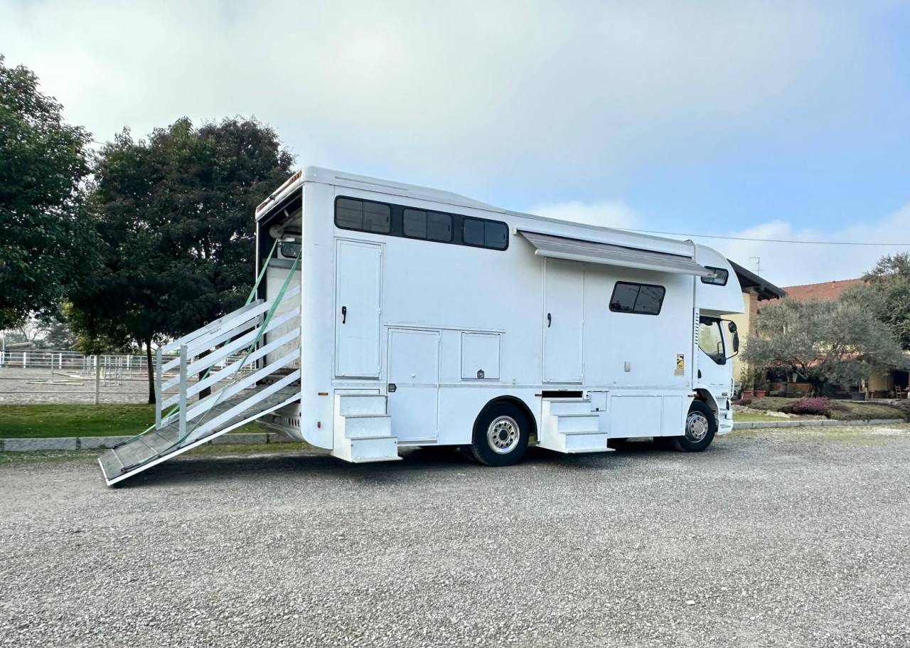 Camión para caballos Daf pop out  2003 De segunda mano