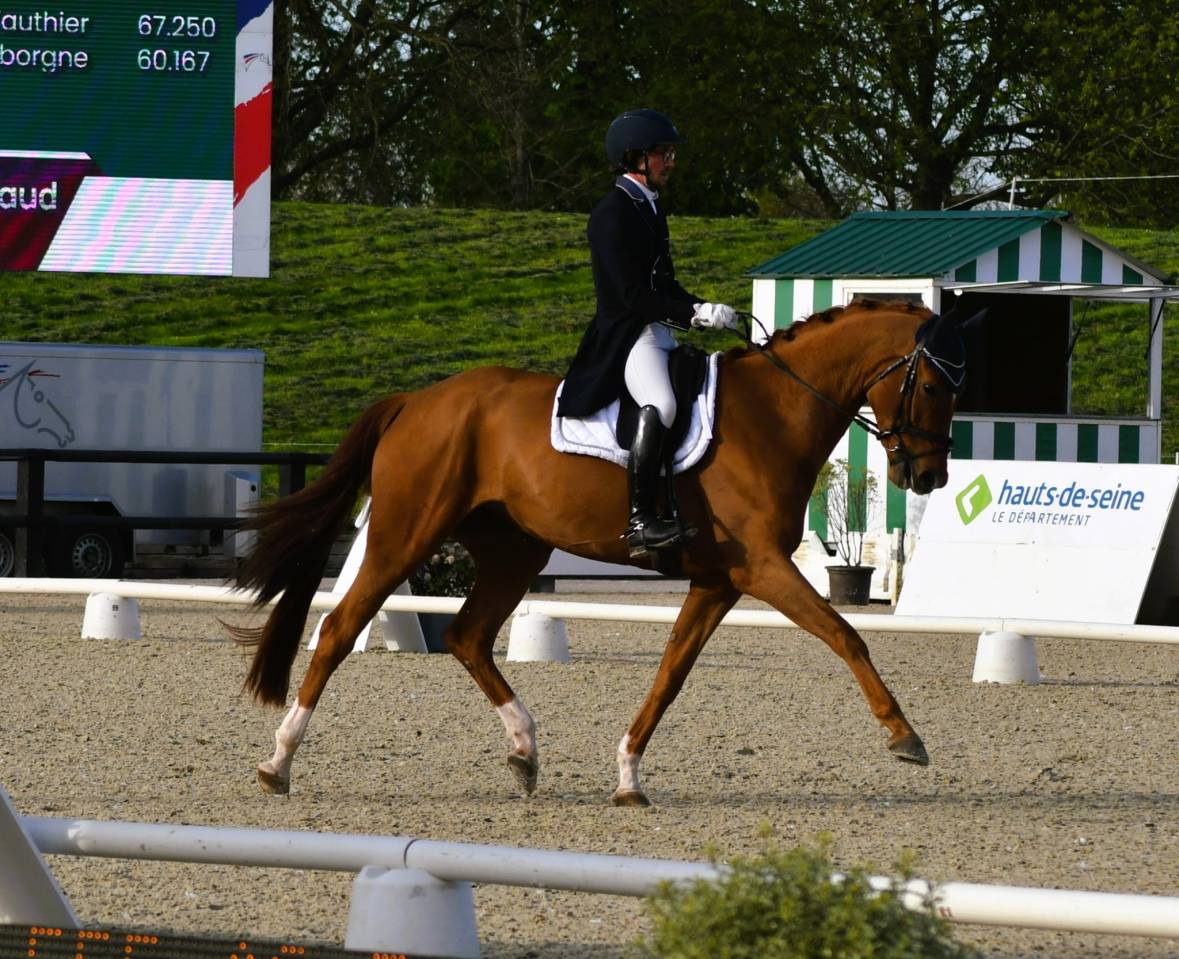 Yegua Hannoveriano En venta 2018 Alazán por Matinez