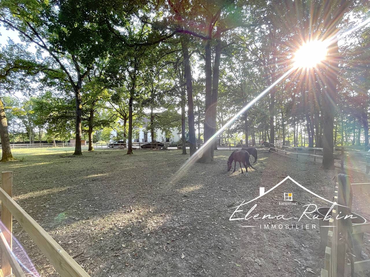 Bonita residencia ecuestre En venta Essonne