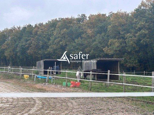 Propiedad ecuestre En venta Puy-de-Dôme