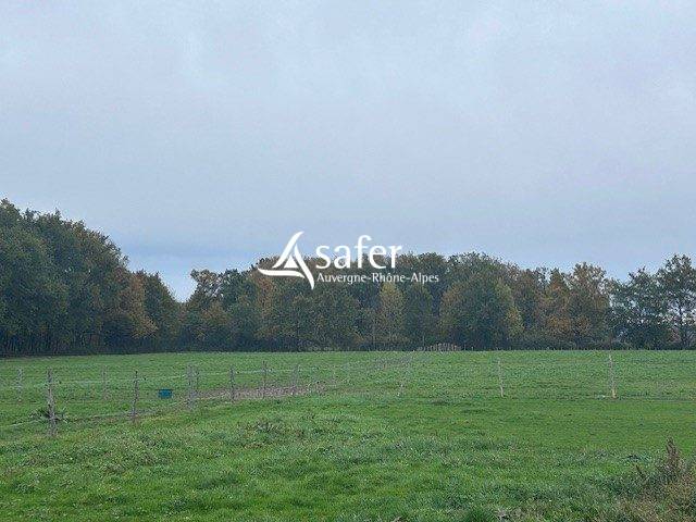 Propiedad ecuestre En venta Puy-de-Dôme