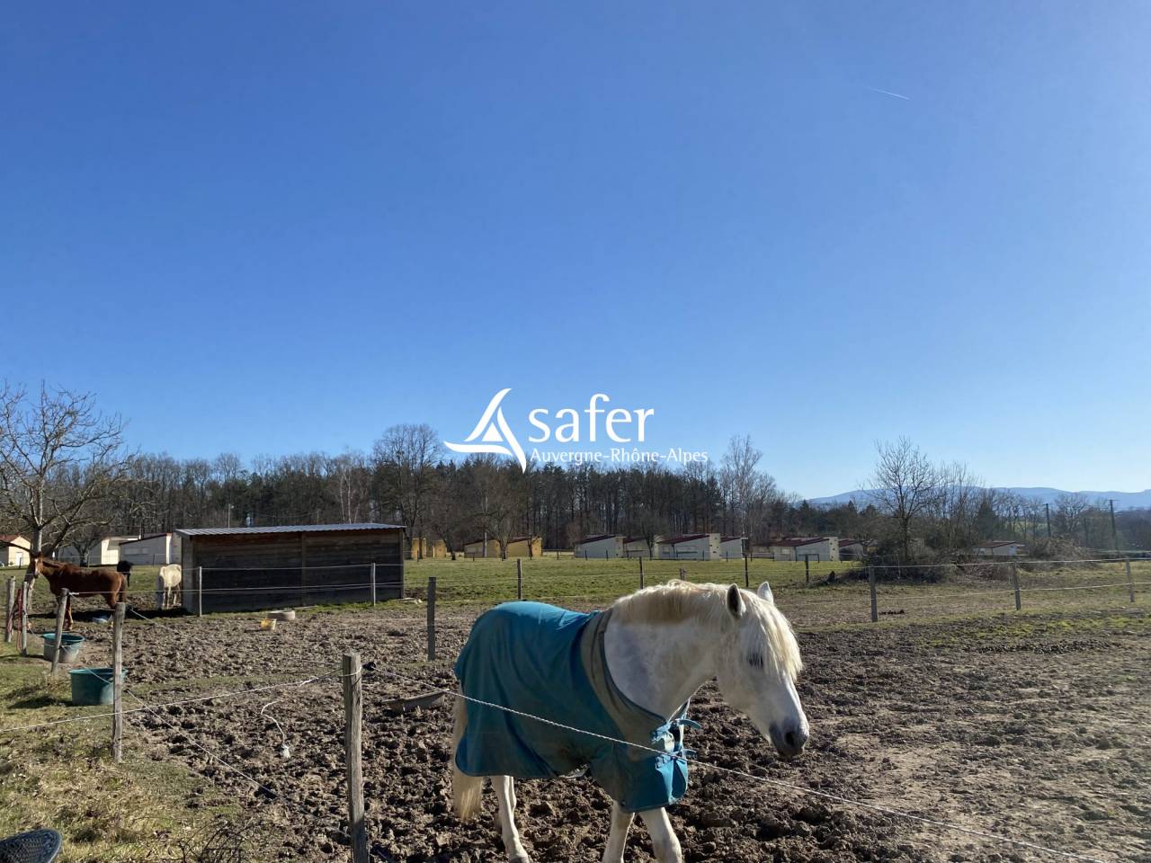 Propiedad ecuestre En venta Puy-de-Dôme