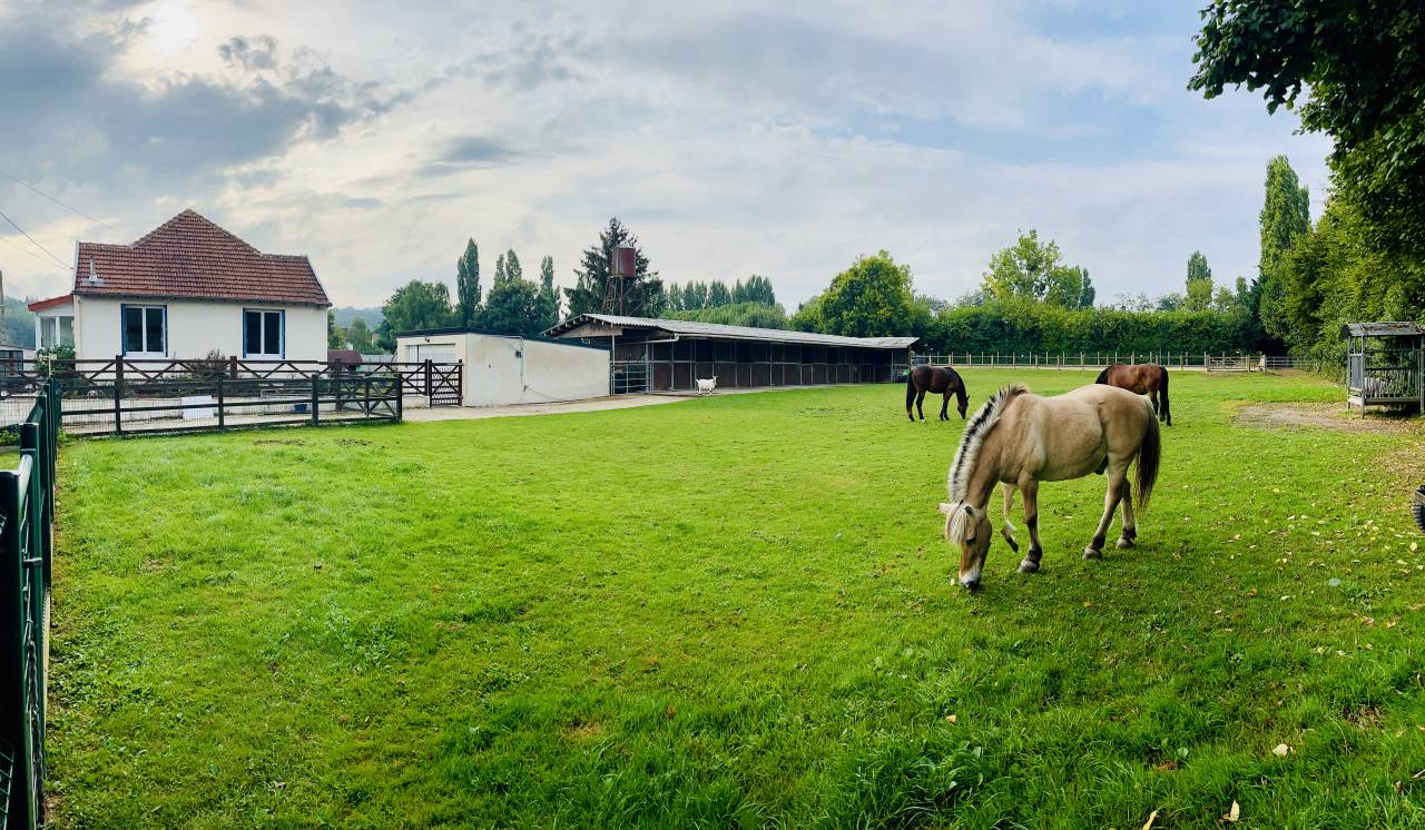 Propiedad ecuestre En venta Sena y Marne