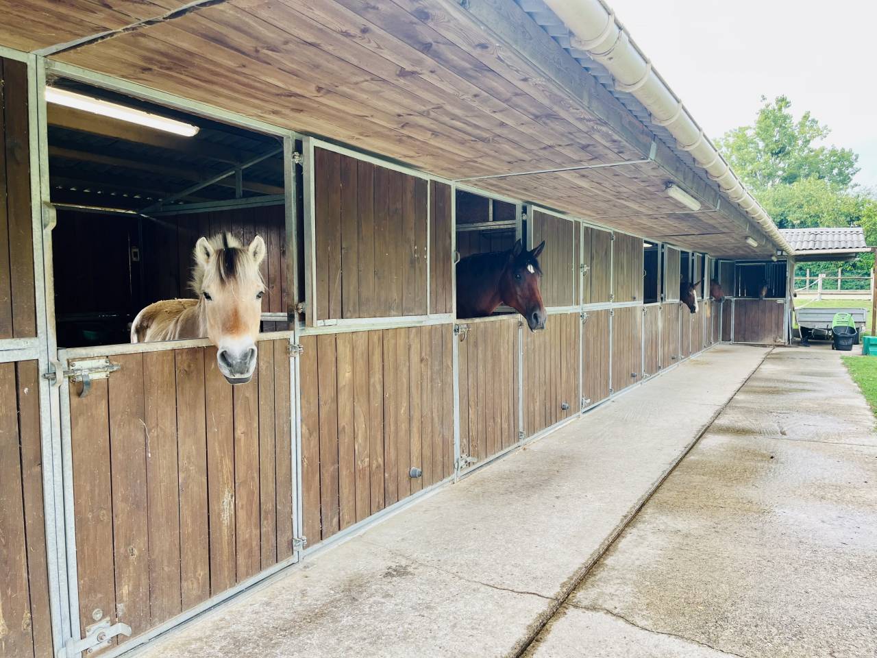 Propiedad ecuestre En venta Sena y Marne