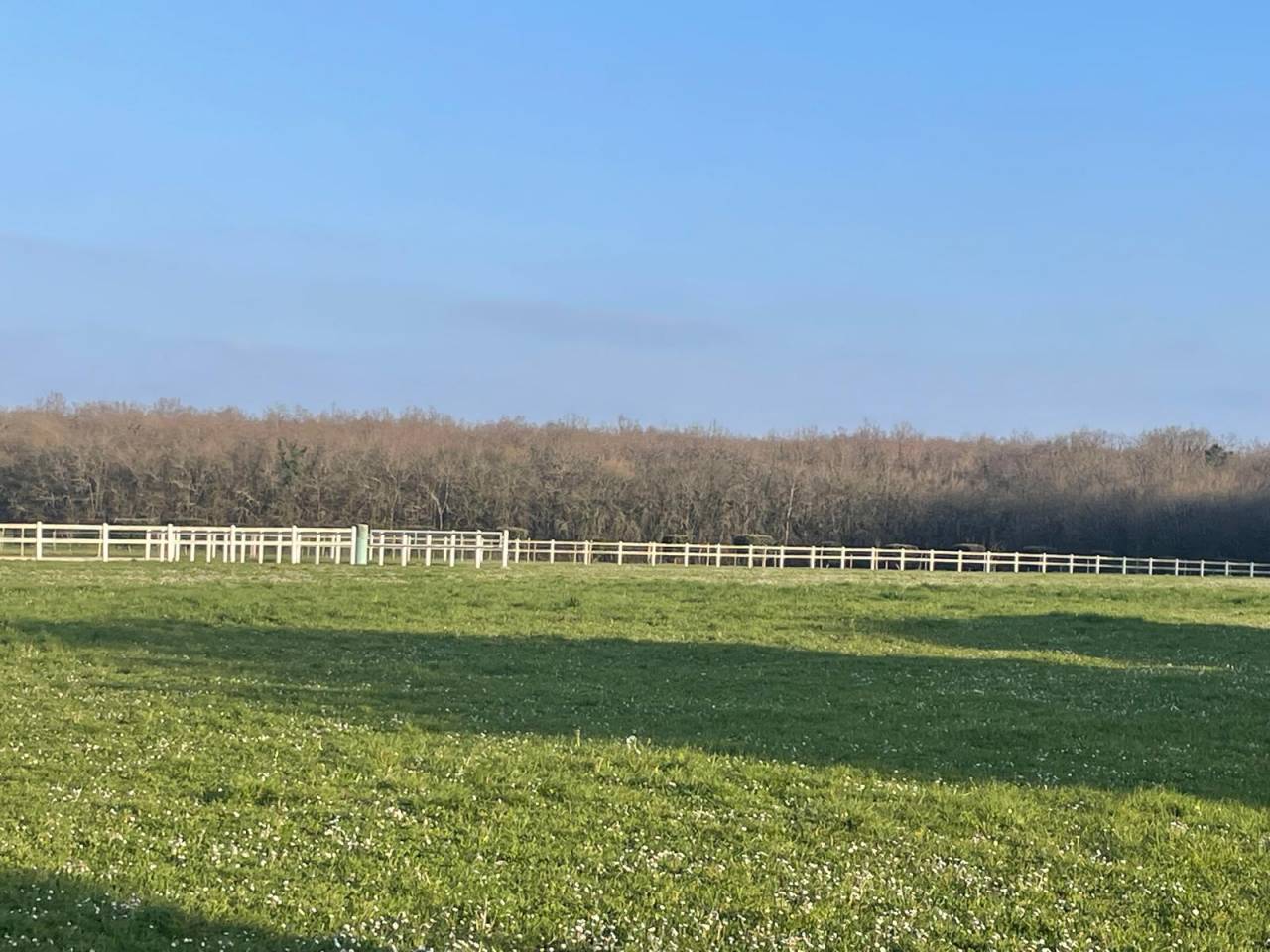 Propiedad ecuestre En venta Deux-Sèvres