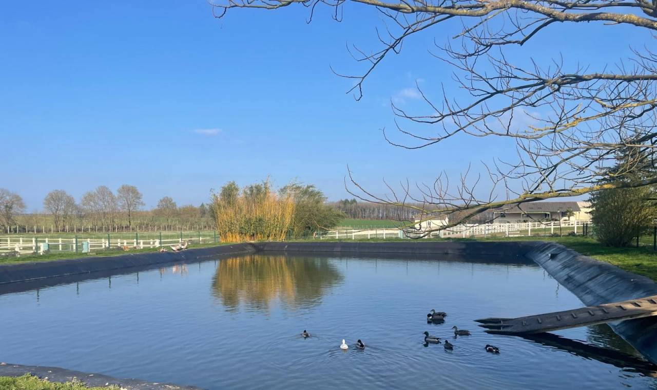 Propiedad ecuestre En venta Deux-Sèvres