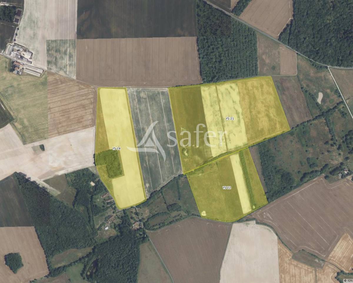 Explotación agrícola En venta Indre y Loira