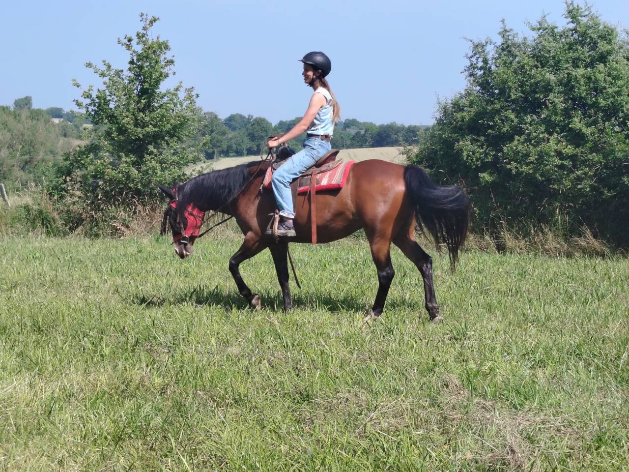 Yegua Origine Constatée En venta 2016 Bayo por CHEROKEE RUGGED TWIST