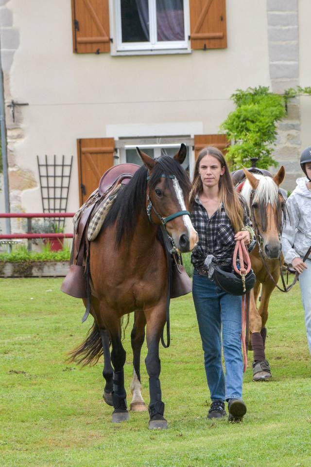 Yegua Origine Constatée En venta 2016 Bayo por CHEROKEE RUGGED TWIST