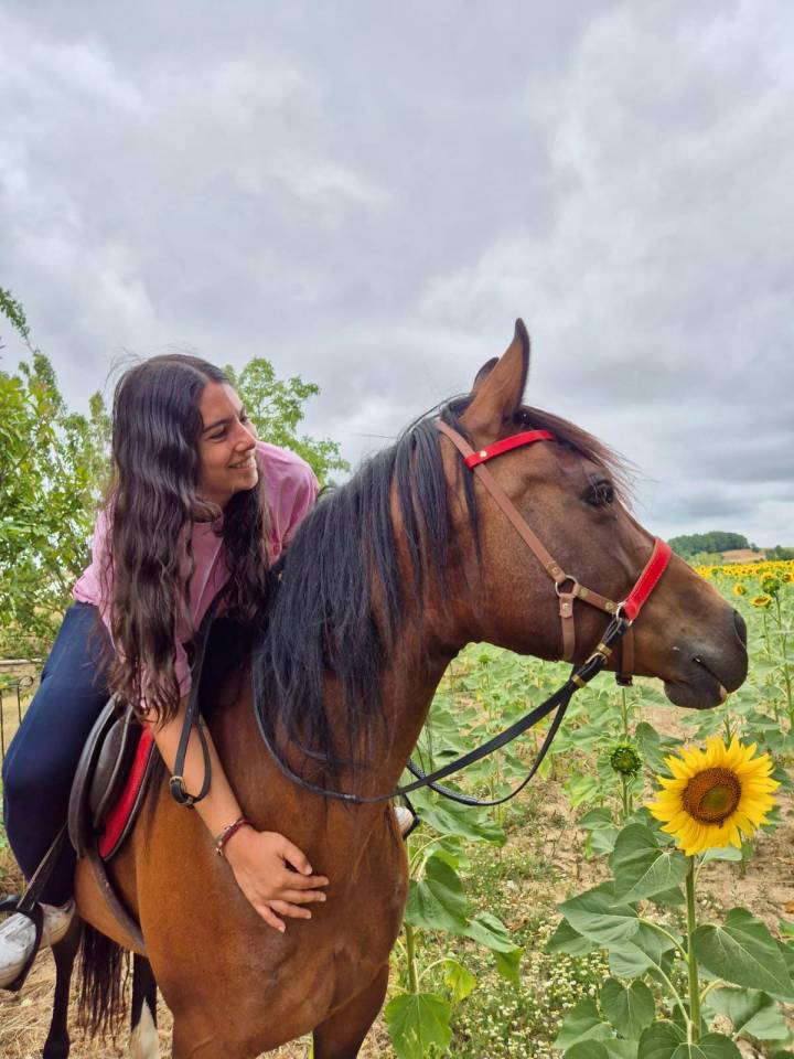 Yegua Origine Constatée En venta 2016 Bayo por CHEROKEE RUGGED TWIST