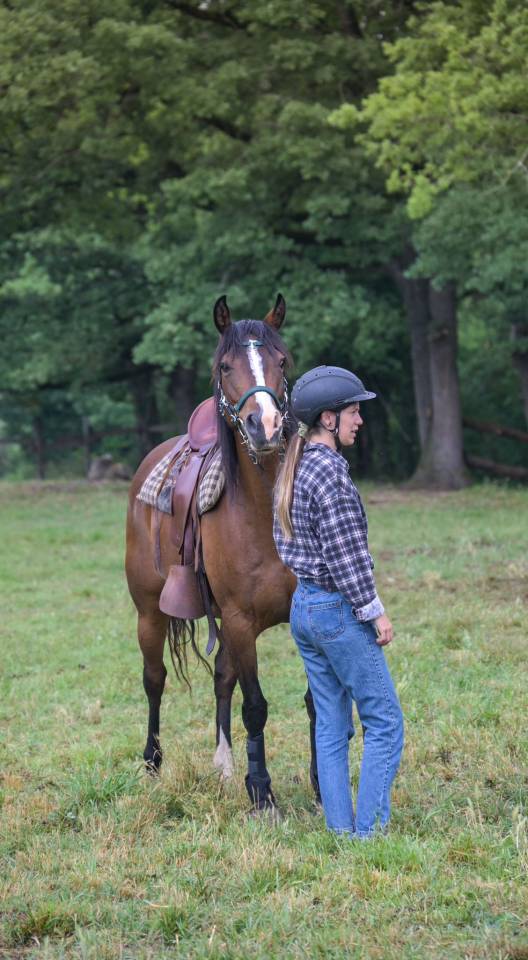 Yegua Origine Constatée En venta 2016 Bayo por CHEROKEE RUGGED TWIST